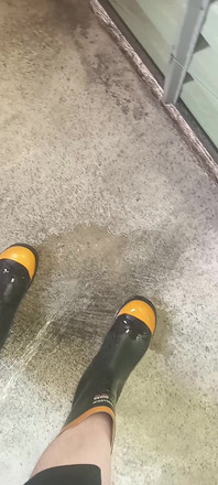 Pissing on Steel Toe Black Rubber Wellies