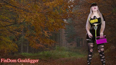 FinDom Goaldigger: Nebezpečná silnice