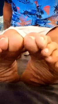 My Paws
