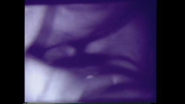 Vintage megastore: 美味诱人的