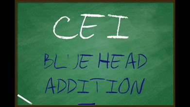 Campsissyboi: CEI untuk banci gay sebenar