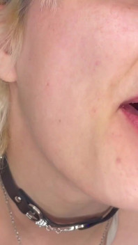 Mouth Tour