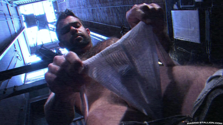 Raging Stallion: Focus - povestea începe