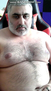 Solo Bear
