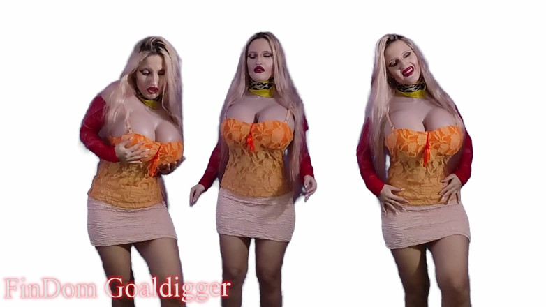 FinDom Goaldigger: Meu bom homem puta