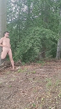Forest Exhibition: a Banished Bird in a Beech Forest