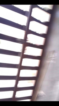 3770382578.mp4