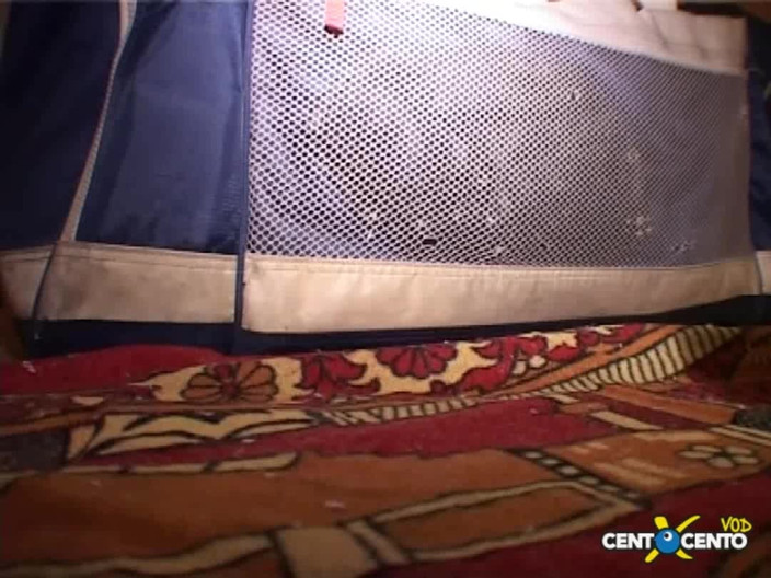 CentoXCento Italia: ¡Asquerosos asquerosos! (película Completo Centoxcento)