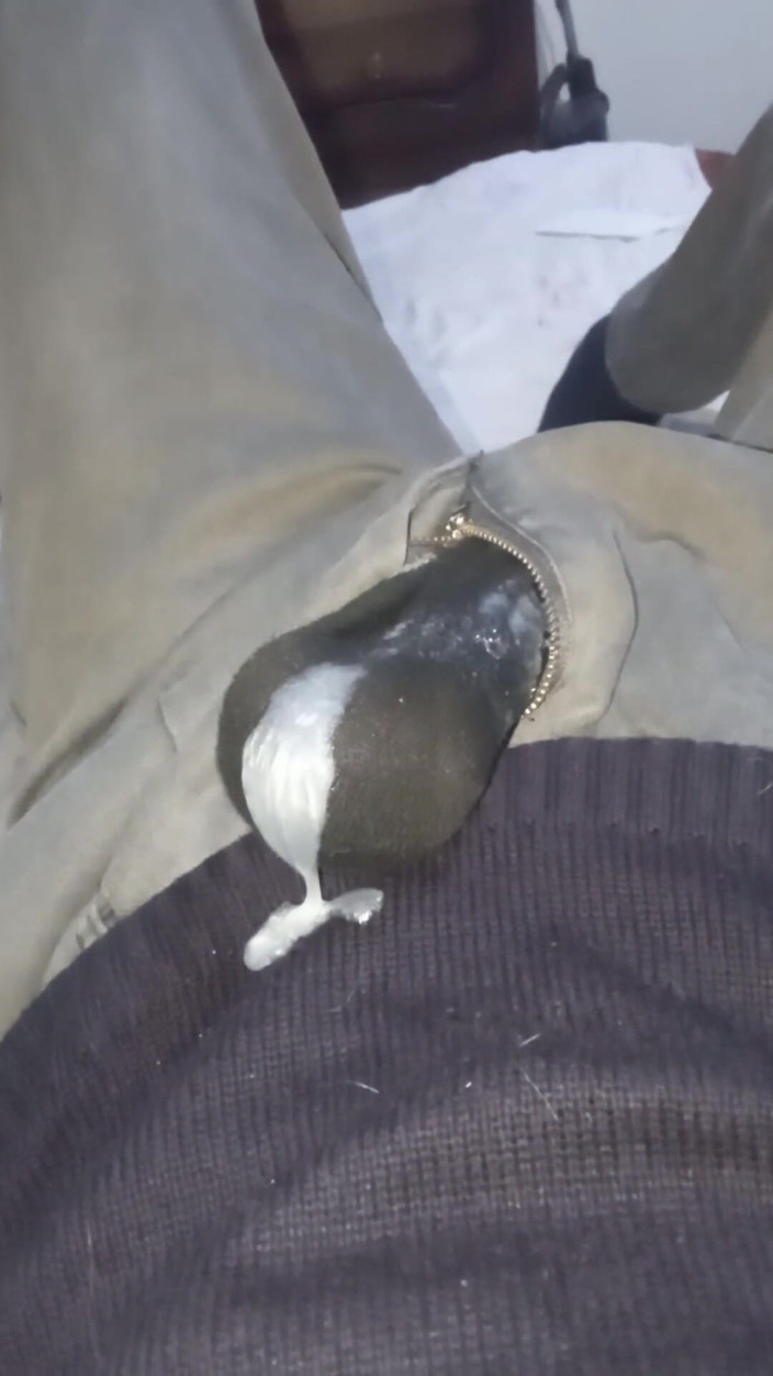 Zen_solo: Veel sperma