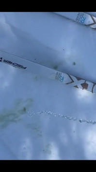 Pissing During a Nordic Ski Session