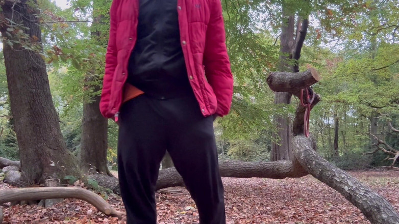 MrMagicDevil: Solo oscillare, tremare e strofinarlo nel bosco