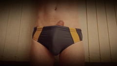 TheOldBigThing: 수영 트렁크에서 발기 성장