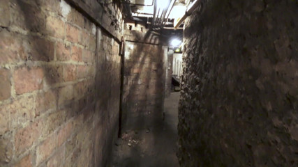Rick Angel: Anal in a dirty cellar for french MILF Alice