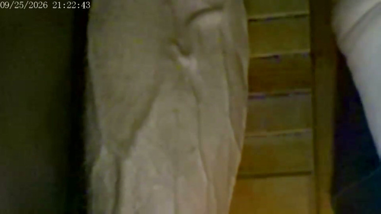 COBRA CRAIG: 9-25-26 cam 2 compilation venerdì amici giornata cavalcata di giocattolo grazie...