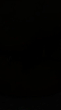 Sweet Lollipops Anal Play