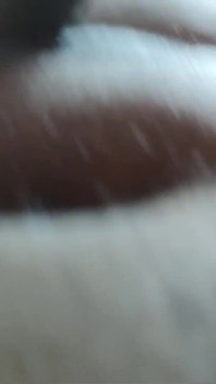 Великий член, марокканська дружина арабської пари