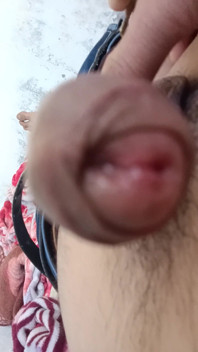 Desi Cock