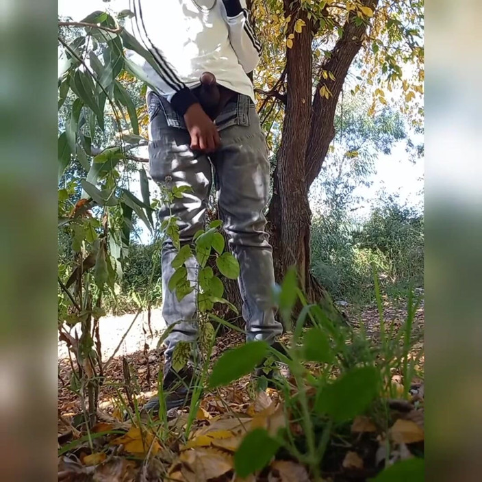 Zebra Ass: pahla vidiyo