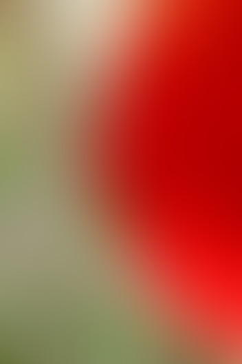 Locked due to age restriction