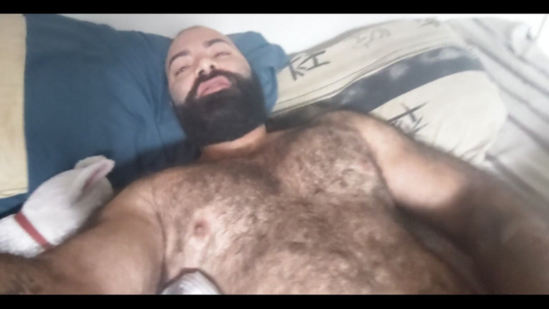 Lobo: Cur păros