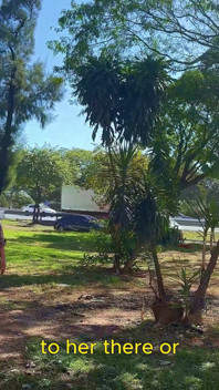 72 anos, gordinha mãe pega para sexo anal no ônibus