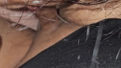 Swallow
