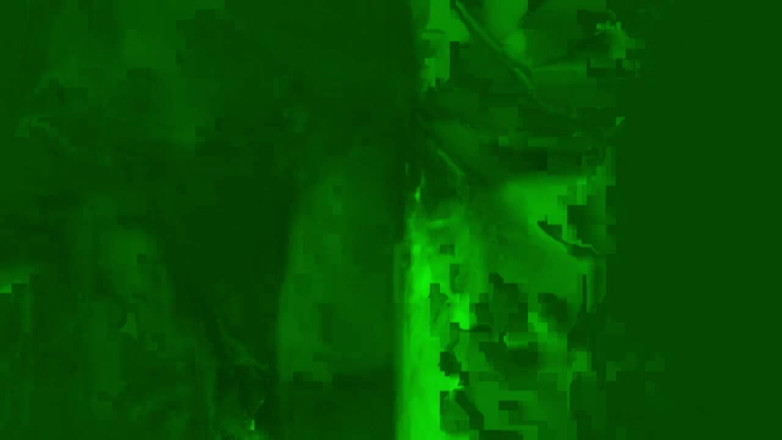 Lydia Privat: A 18 anni