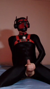 Remote Controlled Puppy Whimpers While Jerking off
