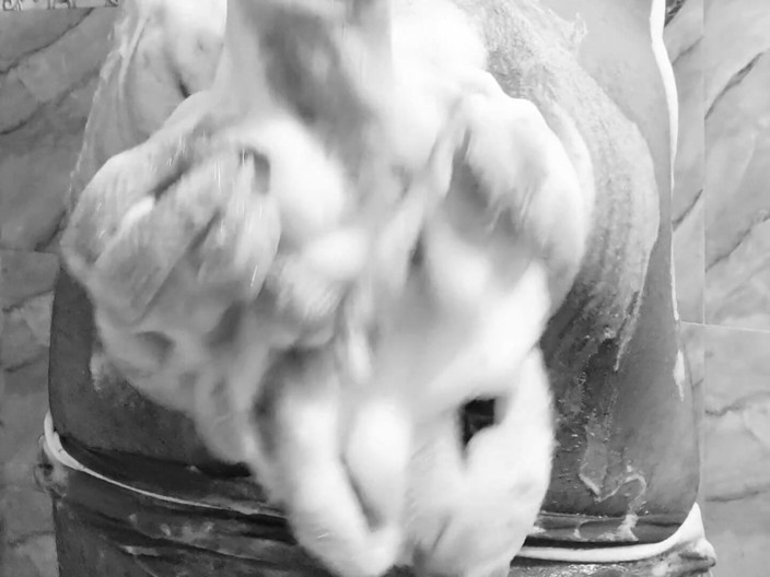myhard_cock: Phòng tắm vòi hoa sen