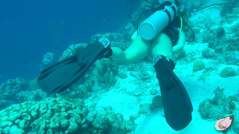 Mistress Pink Pearl: Seul à Bonaire