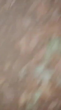 A Hot Big Black Cock Mastubating