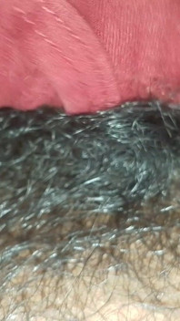 Pinni