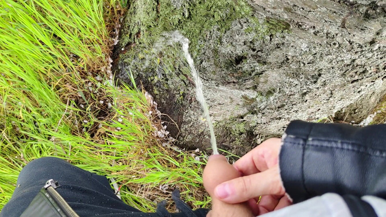 Bayer911: Пирог у дуба