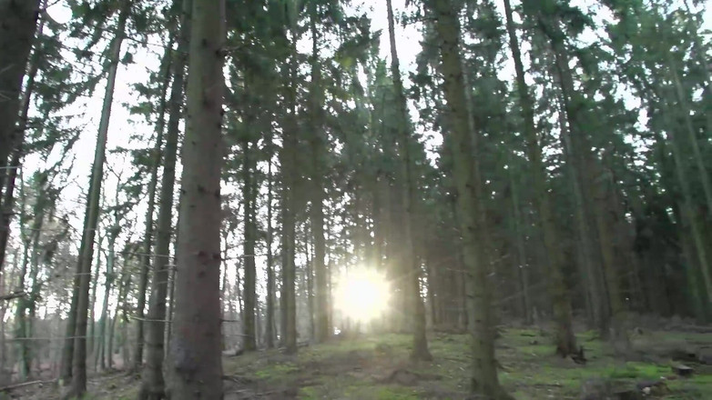 Amateur Pornos XXX: Scene de orgie sălbatică cu vedete sexuale germane