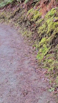 Hike-n-kencing pada Hari Hujan