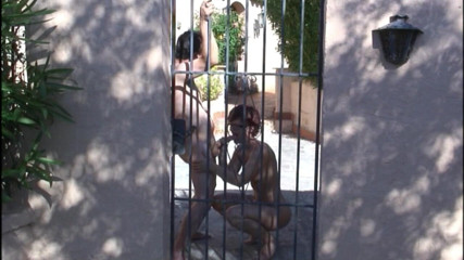 Popp Sylvie: Sylvie gets fucked at the gate
