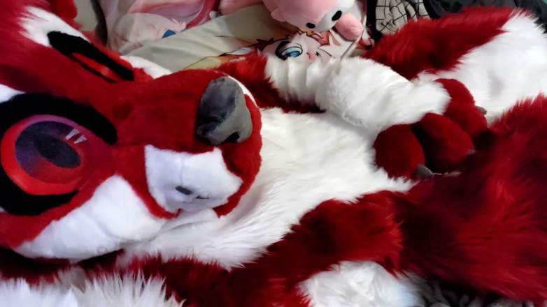 PawgrammerSocks: Szarpanie i pokazywanie footpaws w fursuit na całe ciało