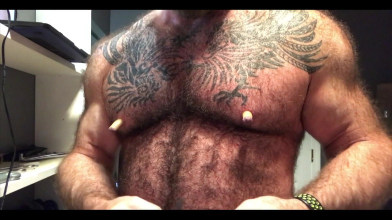 Will Angell: Pig Tits