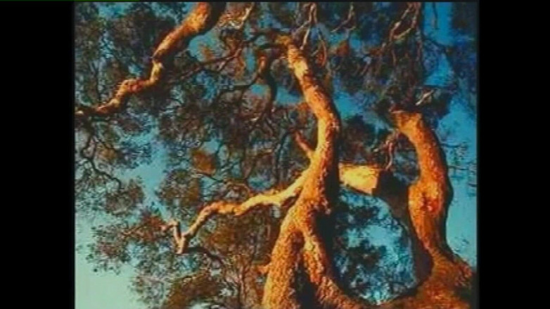 Heatwave Gay: Plaisir gay 1, partie 1