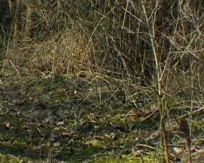 German's Fetish: 독일 교도관 재소자 와 재미를 있어