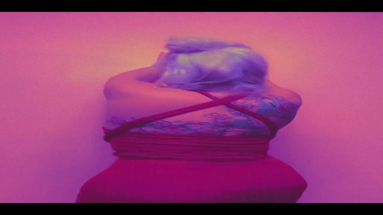 PaintedRose: Revved up.. for What? for Your Red Rocket. of Course