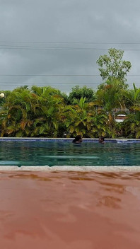Cewek sange ini dientot habis-habisan sampai orgasme dua kali di kolam renang