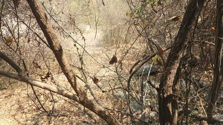 Suthavillagexxx: Tamil Boy Masturbating in the Forest