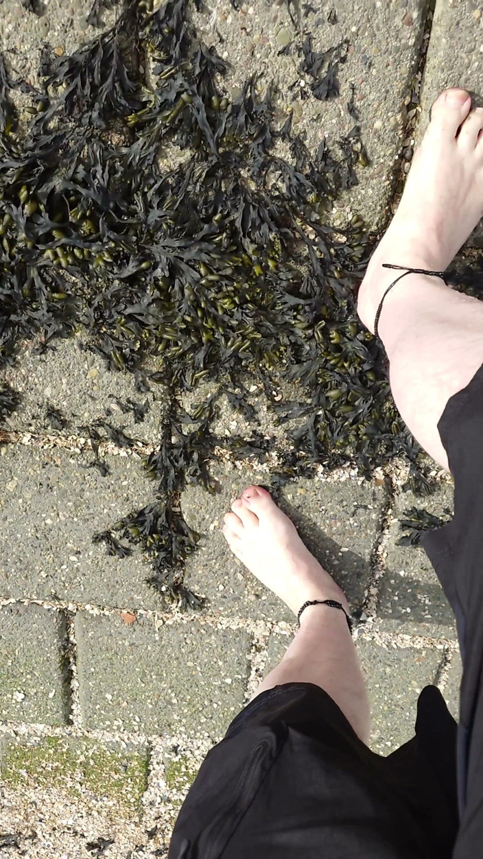 Footfetish: Scalzi Nel Mare Del Nord Di Settembre a Wangerland
