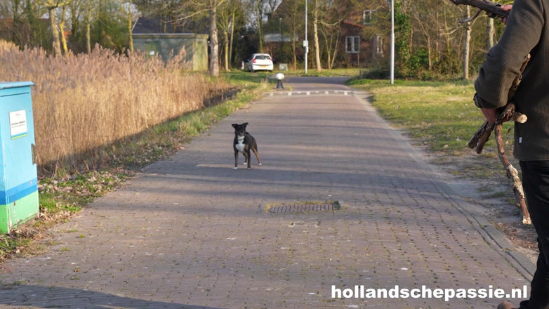 Hollandsche Passie: Güzel, Daphne Laat ile! - Hollandschepassie