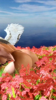 Eden Paradise