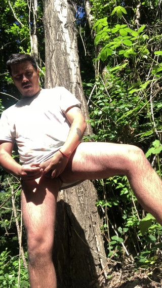 Hardnoisex: 森林视角——野性户外乐趣