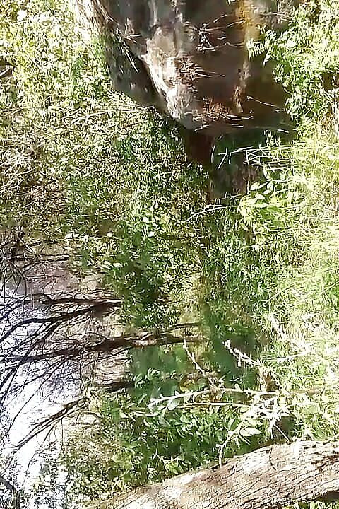 Gangbang straight: जंगल में सुहानी प्रेमी मूतते हुए पकड़ा गया