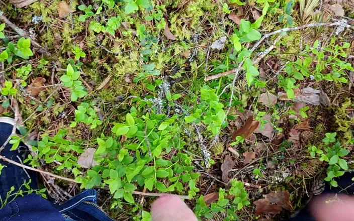 Stiansr: Horny in Forest