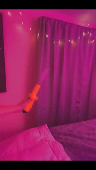 Not Invited Sir Stinkbug